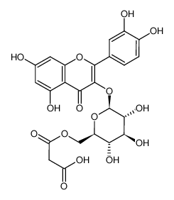 槲皮素3-O-丙二酰基葡萄糖苷
