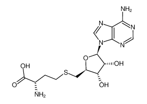 S-(5’-腺苷)-L-高半胱氨酸