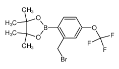 2-(2-(溴甲基)-4-(三氟甲氧基)苯基)-4,4,5,5-四甲基-1,3,2-二氧硼杂环戊烷