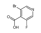 3-溴-5-氟异烟酸