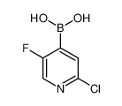 2-氯-5-氟吡啶-4-硼酸