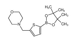 4-((5-(4,4,5,5-四甲基-1,3,2-二氧硼杂环戊烷-2-基)噻吩-2-基)甲基)吗啉