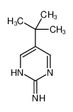 5-(1，1-二甲基乙基)-2-嘧啶胺
