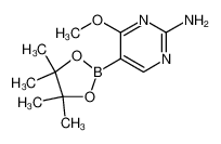 2-氨基-4-甲氧基嘧啶-5-硼酸频哪醇酯
