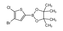 2-(4-溴-5-氯噻吩-2-基)-4,4,5,5-四甲基-1,3,2-二氧硼杂环戊烷