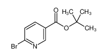 6-溴烟酸叔丁酯