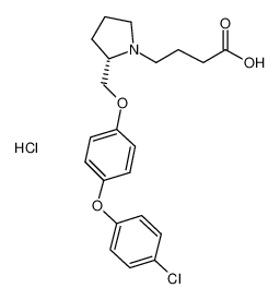 DG051
