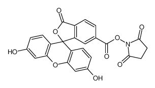 6-羧基荧光素琥珀酰亚胺酯