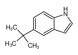 5-(叔丁基)-1H-吲哚