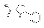 (2S，5S)-5-苯基吡咯烷-2-羧酸