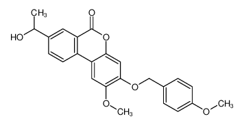 帕罗米德 529 (P529)