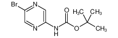 2-Boc-氨基-5-溴吡嗪