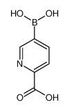 2-羧基吡啶-5-硼酸