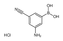 (3-氨基-5-氰基苯基)硼酸盐酸盐