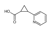 2-(2-吡啶基)环丙烷甲酸