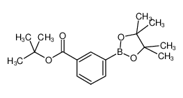 3-(4，4，5，5-四甲基-1，3，2-二氧硼戊烷-2-基)苯甲酸叔丁酯