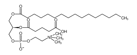 1-palmitoyl-2-glutaryl-sn-glycero-3-phosphocholine