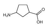 3-氨基环戊烷甲酸