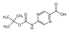 N-Boc-5-氨基吡嗪-2-羧酸