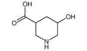 5-羟基-3-哌啶甲酸