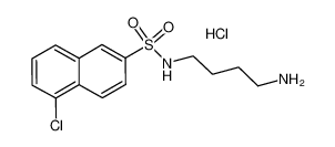 N-(4-氨基丁基)-5-氯萘-2-磺酰胺盐酸盐