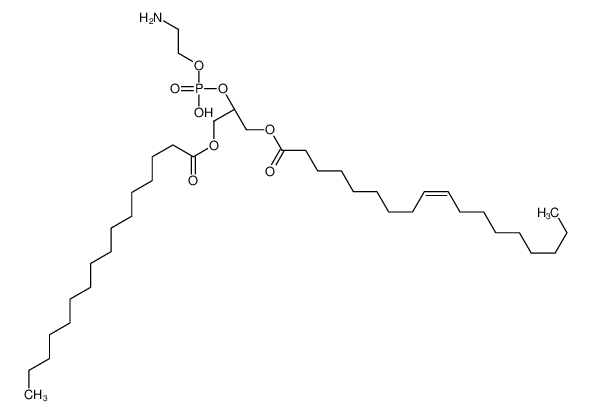 1-Palmitoyl-3-oleoyl-sn-glycero-2-PE