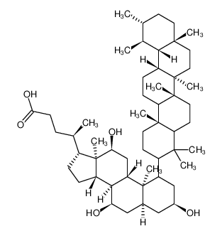 熊硫胆酸