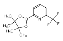 2-(4,4,5,5-四甲基-1,3,2-二氧硼杂环戊烷-2-基)-6-(三氟甲基)吡啶