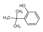 2-叔丁基苯酚