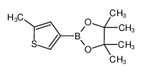 4，4，5，5-四甲基-2-(5-甲基噻吩-3-基)-1，3，2-二氧杂硼杂环戊烷