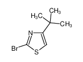 2-溴-4-叔丁基-1，3-噻唑