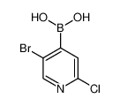 5-溴-2-氯吡啶-4-硼酸
