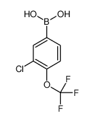 3-氯-4-(三氟甲氧基)苯基硼酸