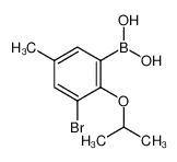 (3-溴-2-异丙氧基-5-甲基苯基)硼酸