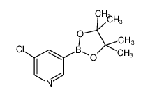5-氯吡啶-3-硼酸频哪醇酯