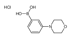 3-吗啉苯硼酸盐酸盐