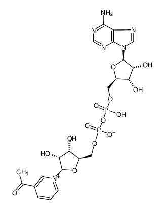 3-乙酰吡啶腺嘌呤二核苷酸