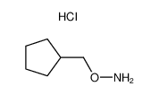 o-(环戊基甲基)羟胺盐酸盐