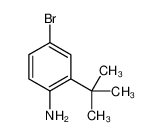 4-溴-2-(叔丁基)苯胺