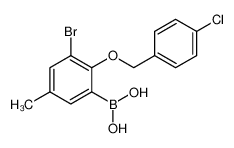 3-溴-2-(4'-氯苄氧基)-5-甲基苯基硼酸