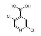 2,5-二氯吡啶-4-硼酸