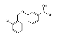 3-(2'-氯苄氧基)苯基硼酸