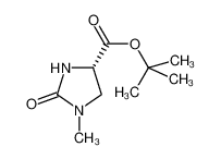 (4S)-1-甲基-2-氧代咪唑啉-4-甲酸叔丁酯