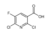 2,6-二氯-5-氟烟酸