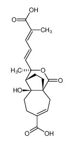 Demethoxydeacetoxypseudolaric acid B