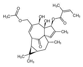 巨大戟醇-3-O-当归酸-20-乙酸酯
