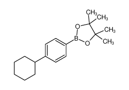 4-环己基苯硼酸频那醇酯
