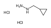 环丙基甲基肼二盐酸盐