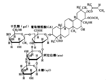 点击查看