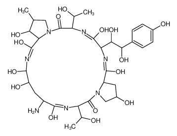 ECHINOCANDIN B